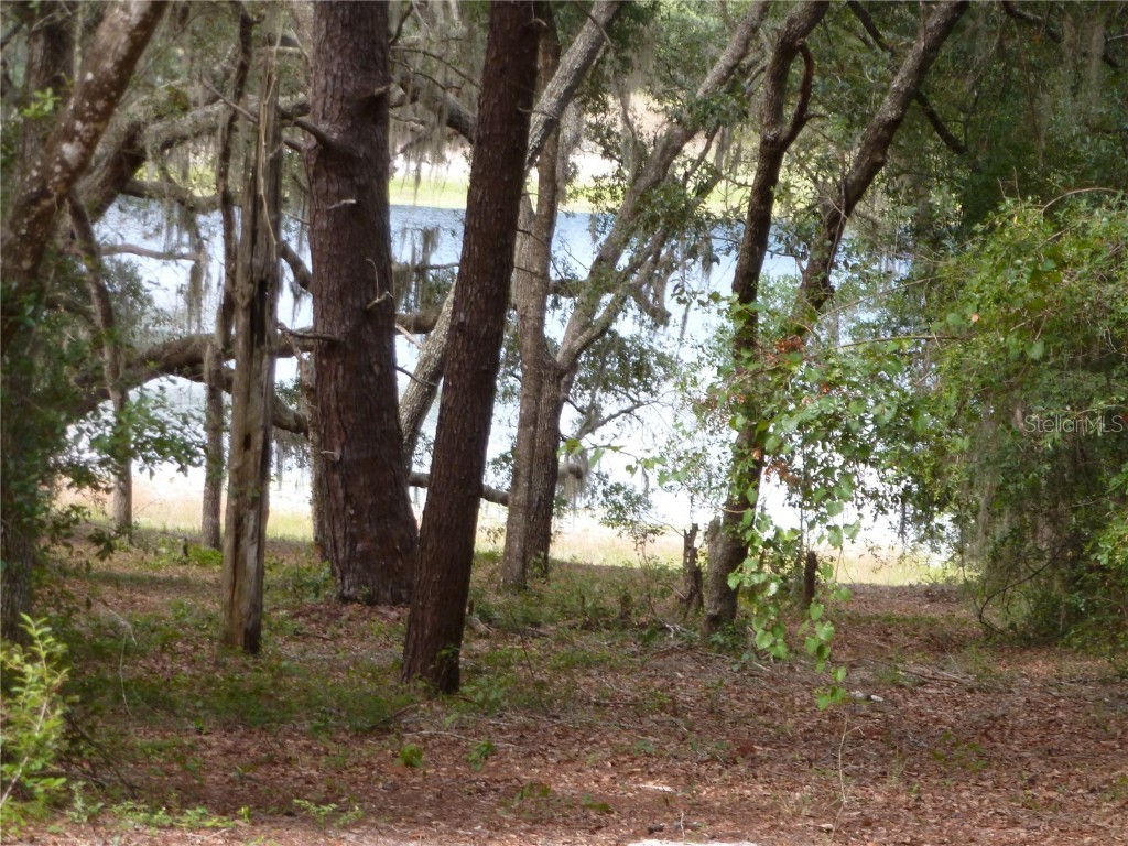 8219 Lake Echo Ridge Drive Melrose FL 32666 - Echo GC514193 image1