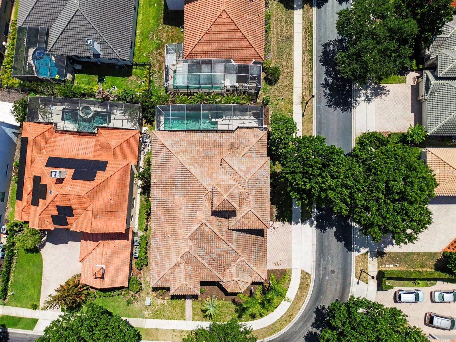 8219 Livorno Drive Orlando FL 32836 O6416839 image38