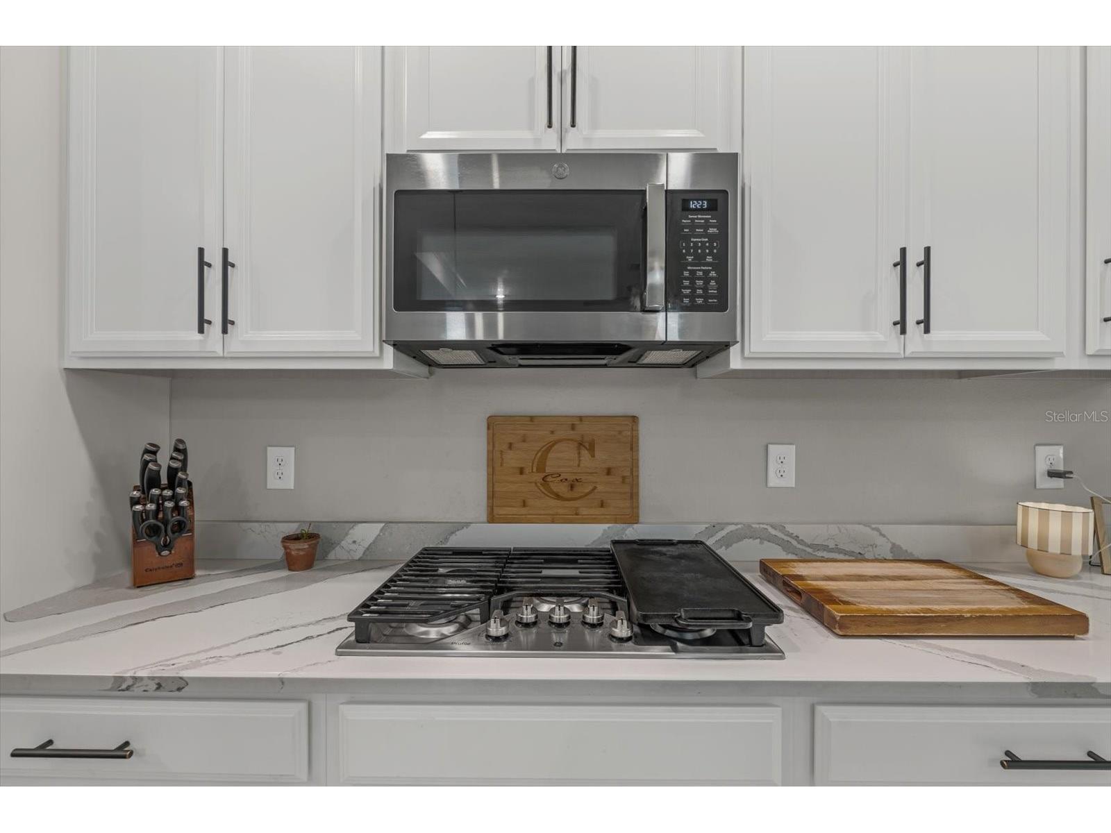 8219 Tea Olive Terrace Palmetto FL 34221 A4679355 image15