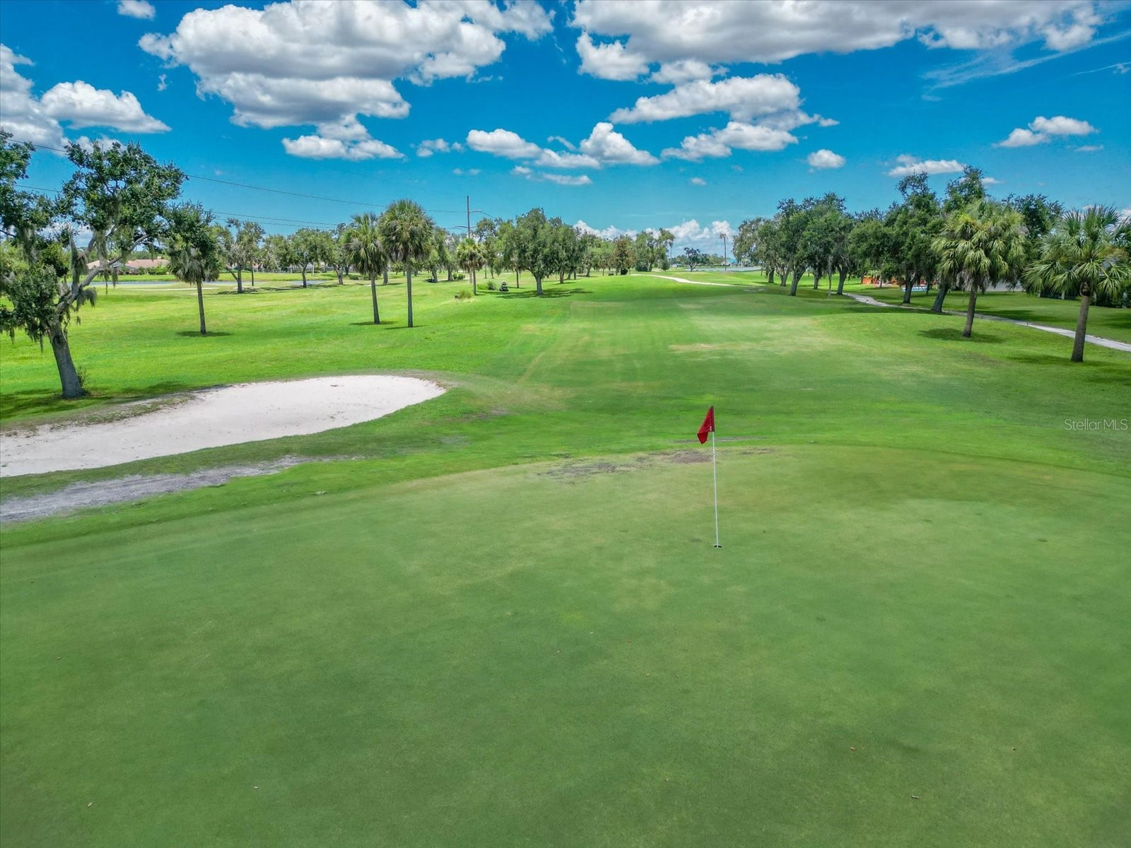 8219 Tea Olive Terrace Palmetto FL 34221 A4679355 image55