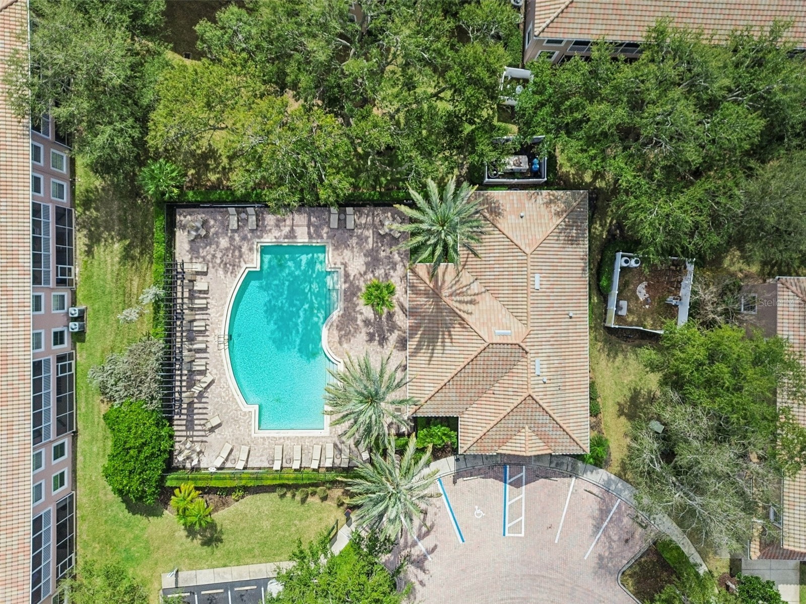 822 Lantern Way #102 Clearwater FL 33765 TB8473933 image79