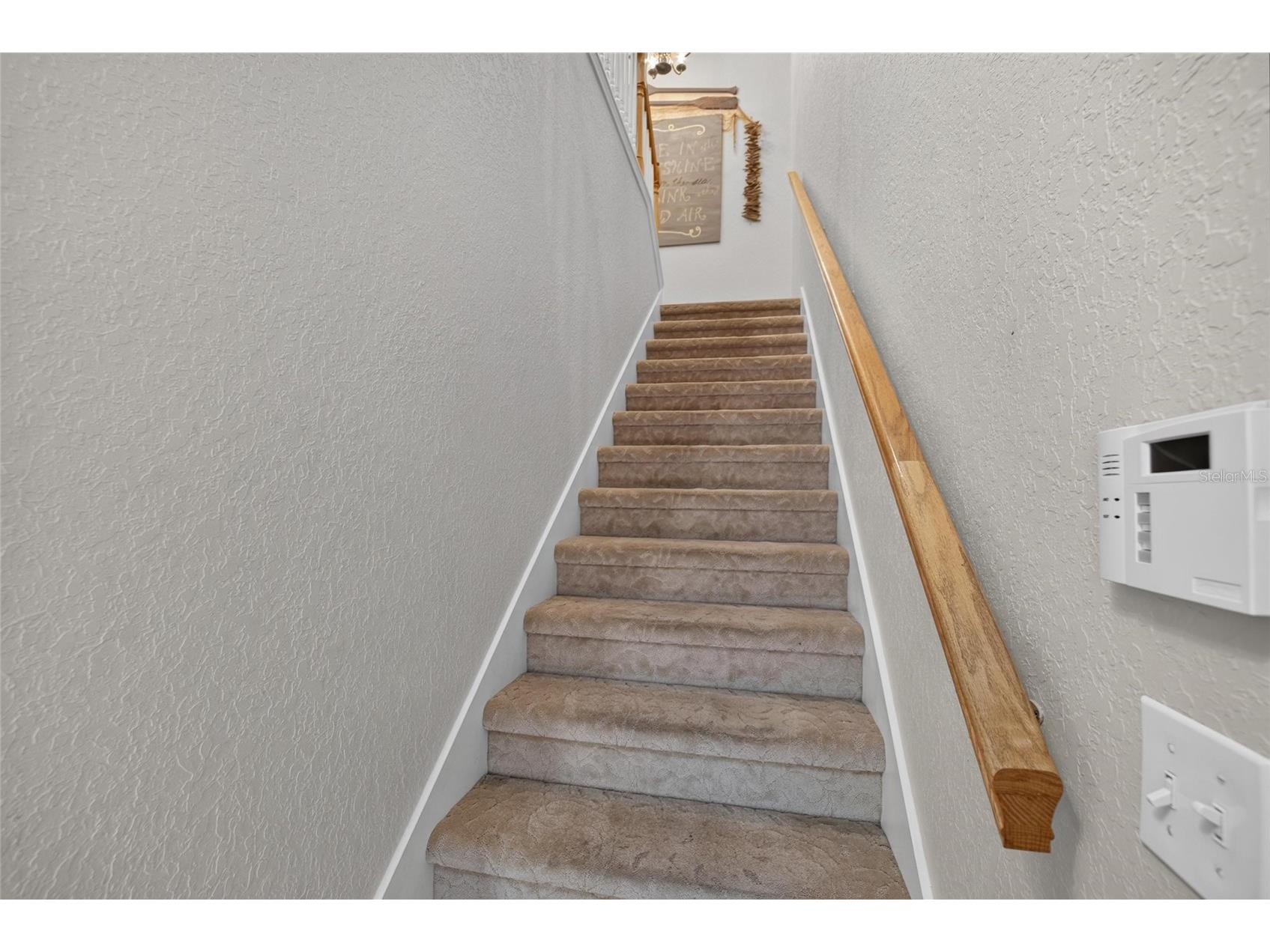 822 Lumsden Reserve Drive Brandon FL 33511 TB8524764 image18