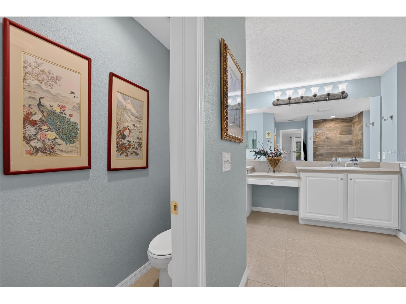 822 Lumsden Reserve Drive Brandon FL 33511 TB8524764 image28