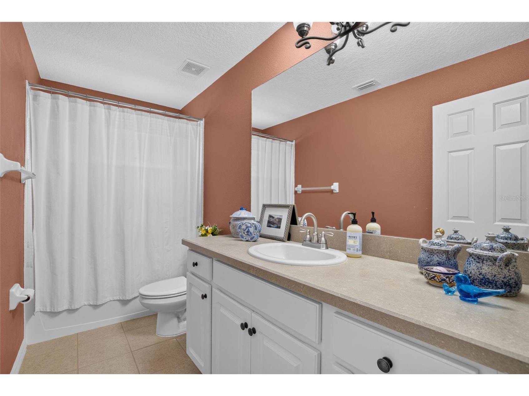 822 Lumsden Reserve Drive Brandon FL 33511 TB8524764 image39