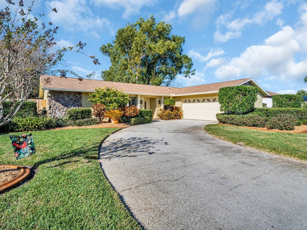 822 Rustic Oaks Drive Palm Harbor FL 34684 TB8337749 image1