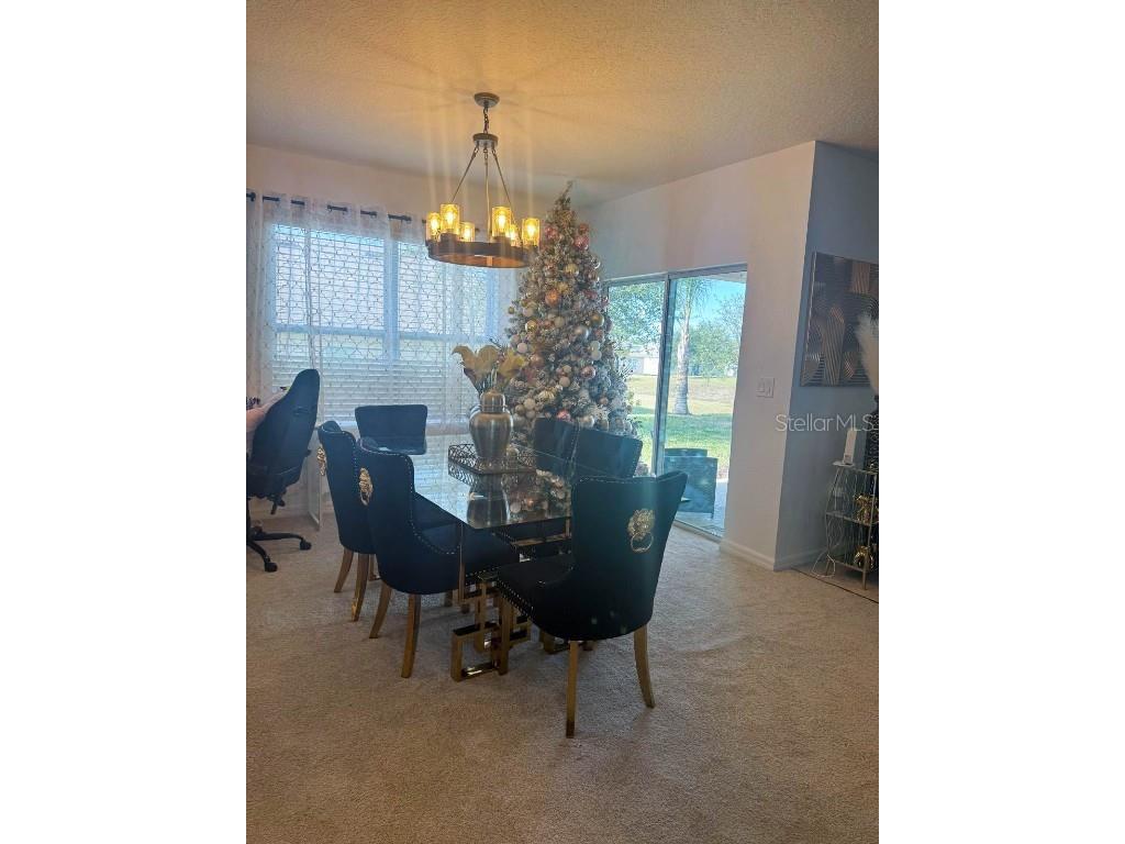 822 Sheen Circle Haines City FL 33844 TB8454042 image24