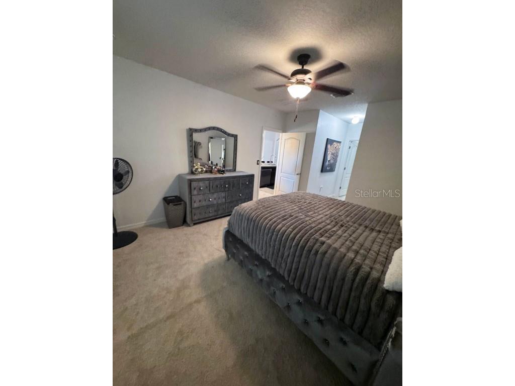 822 Sheen Circle Haines City FL 33844 TB8454042 image34