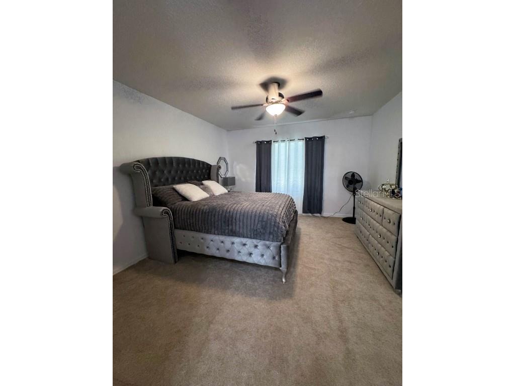 822 Sheen Circle Haines City FL 33844 TB8454042 image35