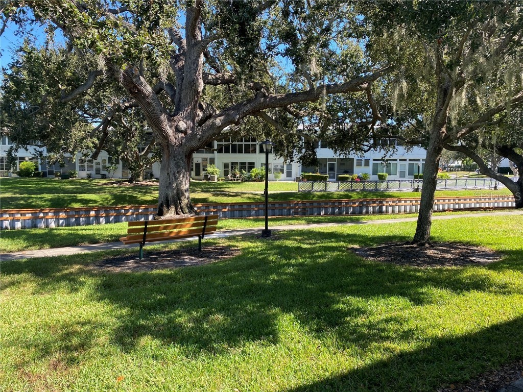 8220 112th Street #109 Seminole FL 33772 TB8440290 image17