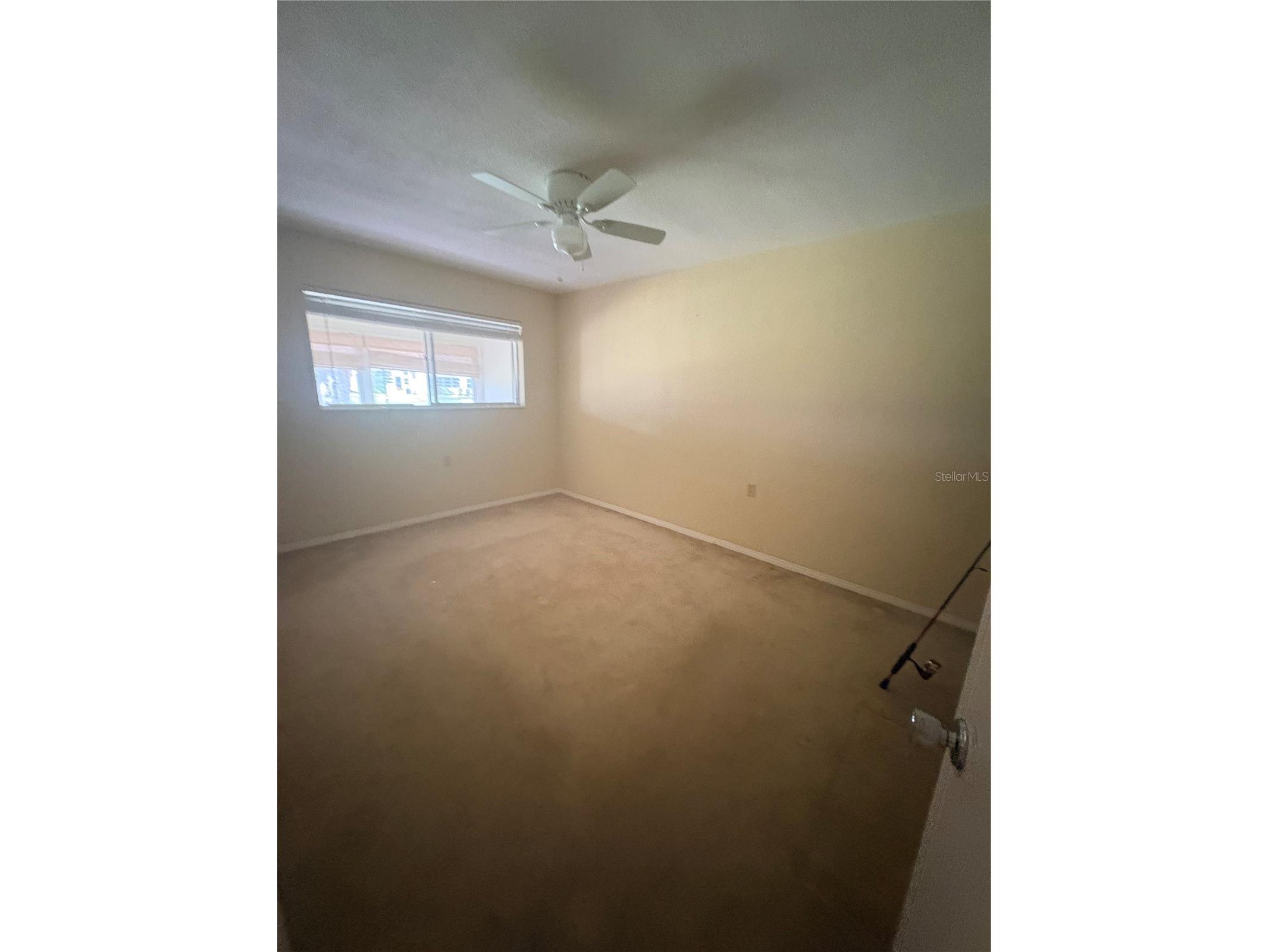 8220 112th Street #109 Seminole FL 33772 TB8500984 image13