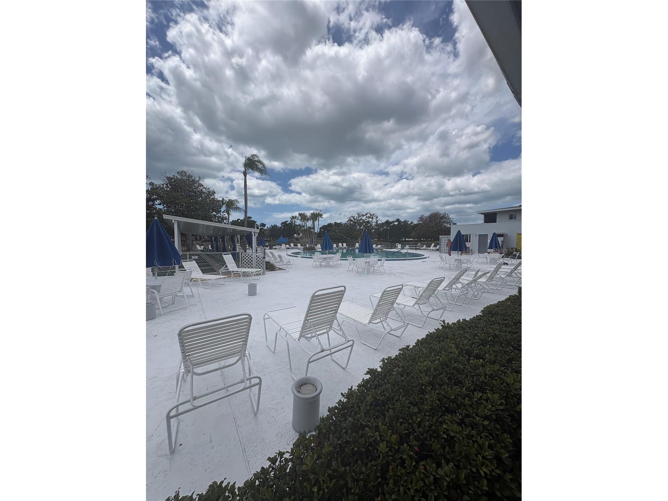 8220 112th Street #109 Seminole FL 33772 TB8500984 image26
