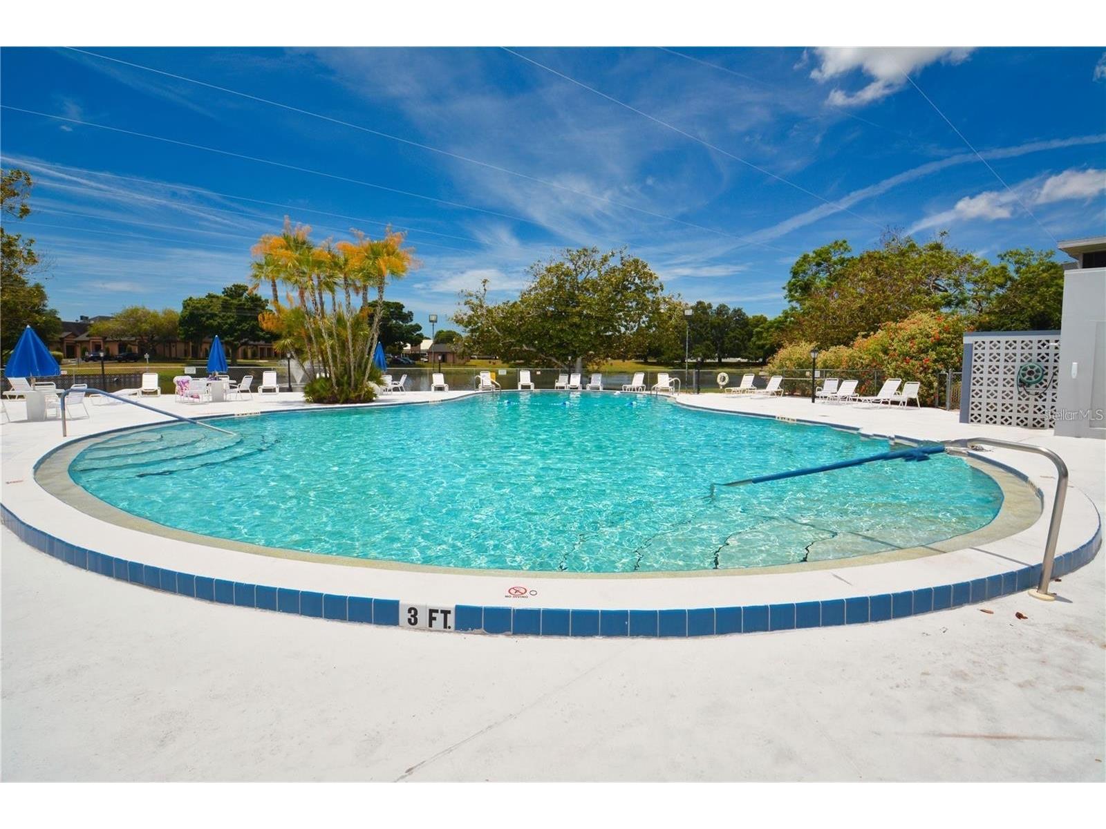 8220 112th Street #109 Seminole FL 33772 TB8500984 image34