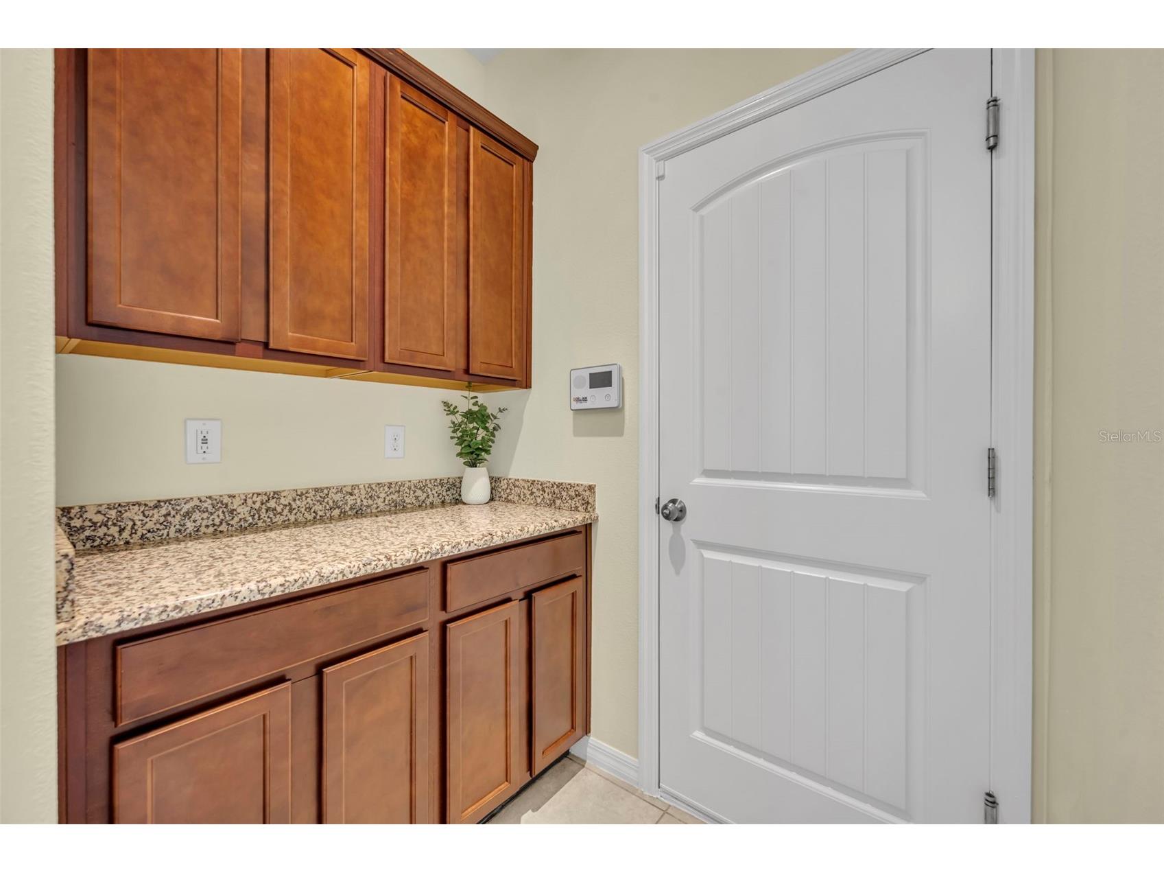 8220 Bayview Crossing Drive Winter Garden FL 34787 O6412974 image18