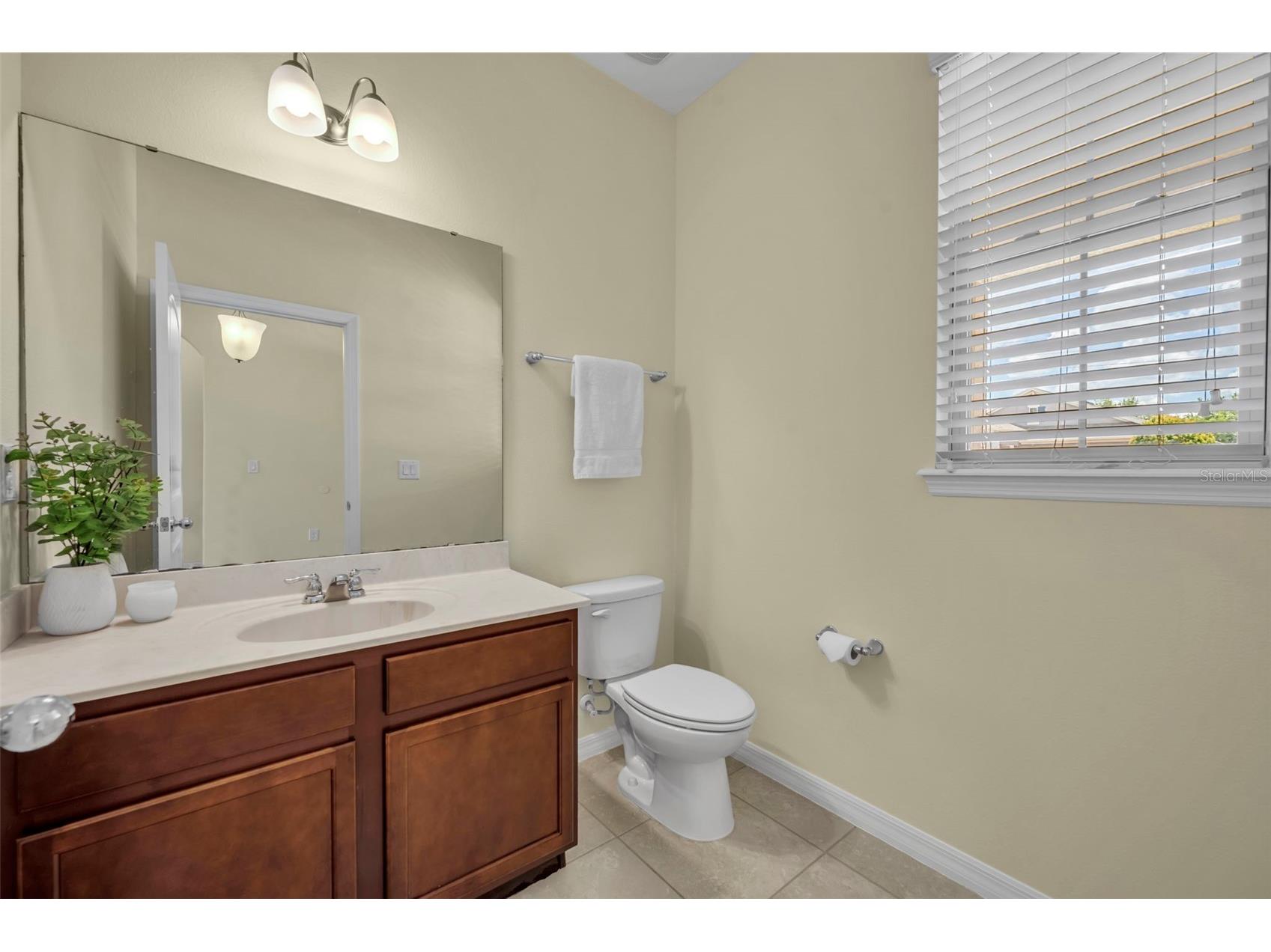 8220 Bayview Crossing Drive Winter Garden FL 34787 O6412974 image19