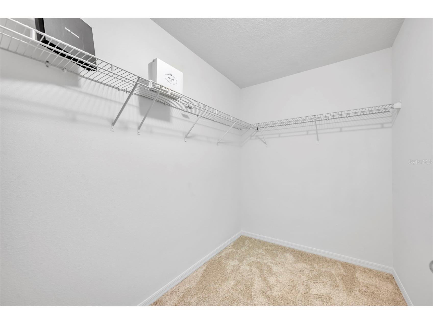 8220 Bayview Crossing Drive Winter Garden FL 34787 O6412974 image36