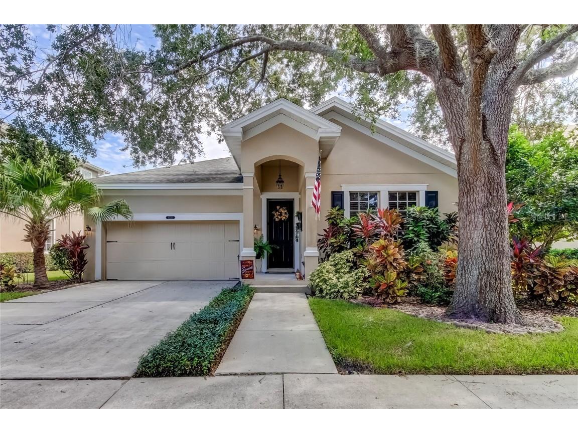 8220 Lagerfeld Drive Land O Lakes FL 34637 T3475202 image1