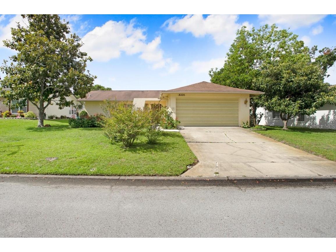 8220 Palma Del Rio Drive Port Richey FL 34668 T3450278 image1