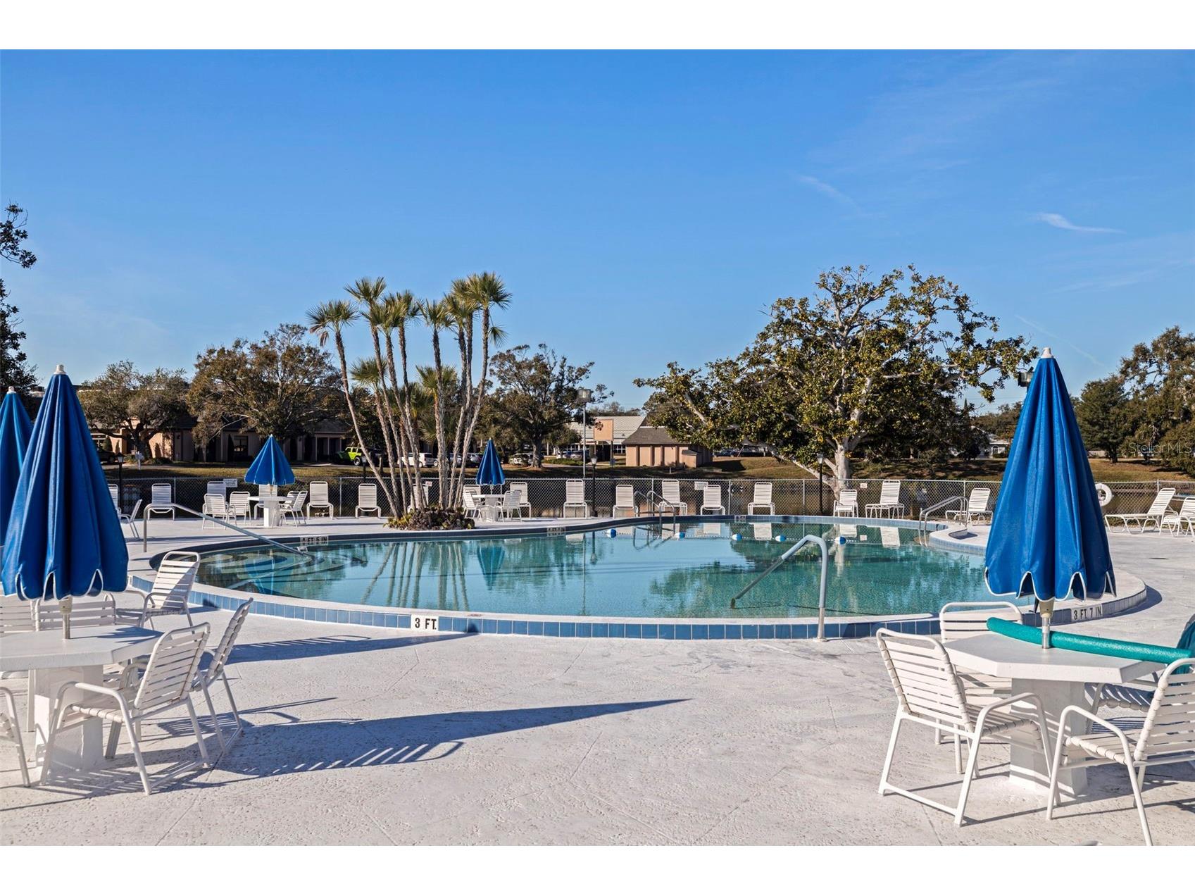 8221 112th Street #203 Seminole FL 33772 TB8472034 image34