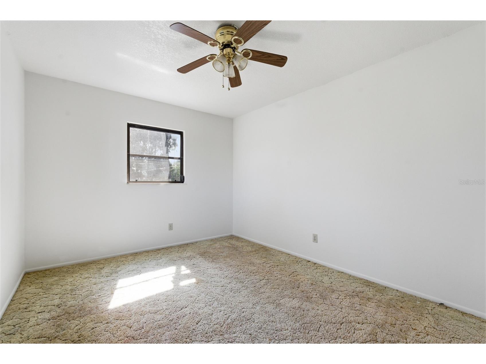 8221 Riverside Dr Ne Saint Petersburg FL 33702 TB8499590 image12