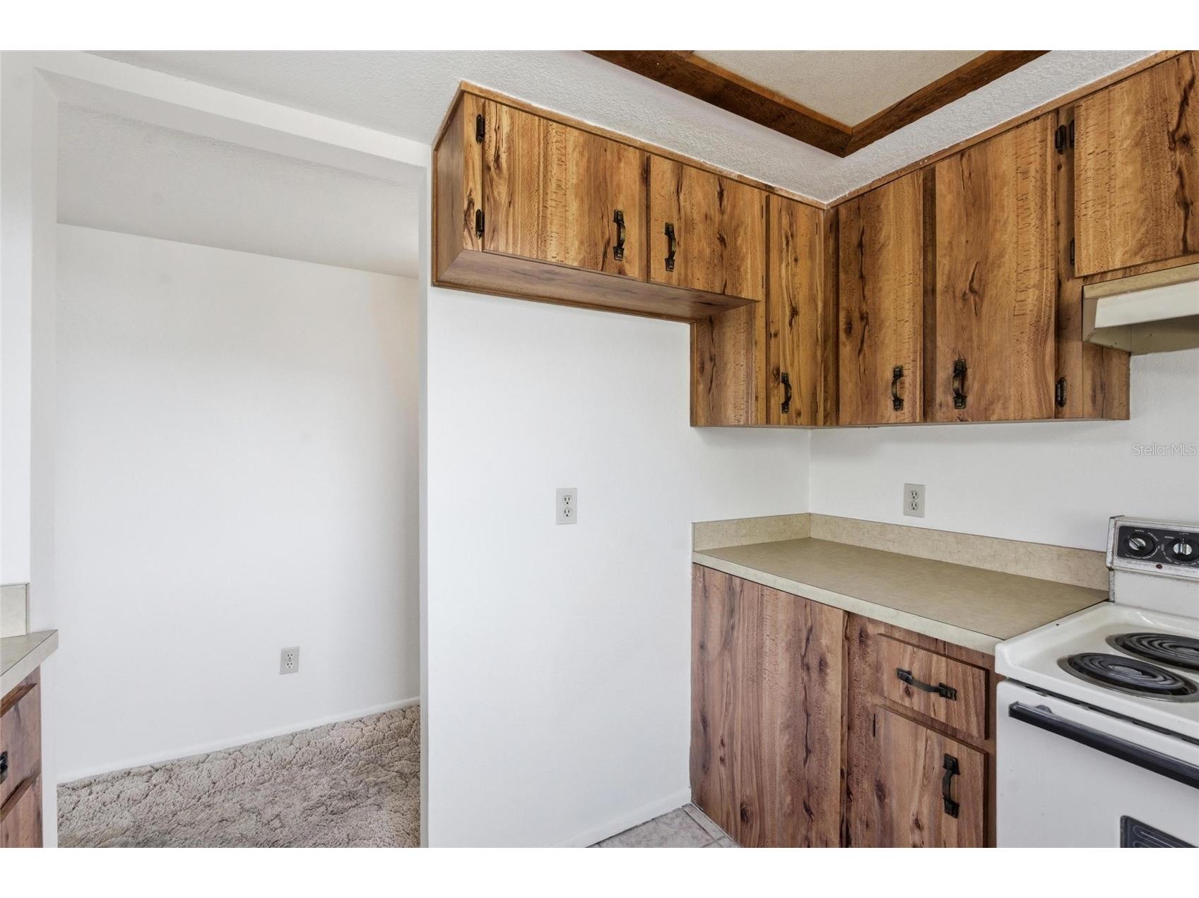 8221 Riverside Dr Ne Saint Petersburg FL 33702 TB8499590 image36