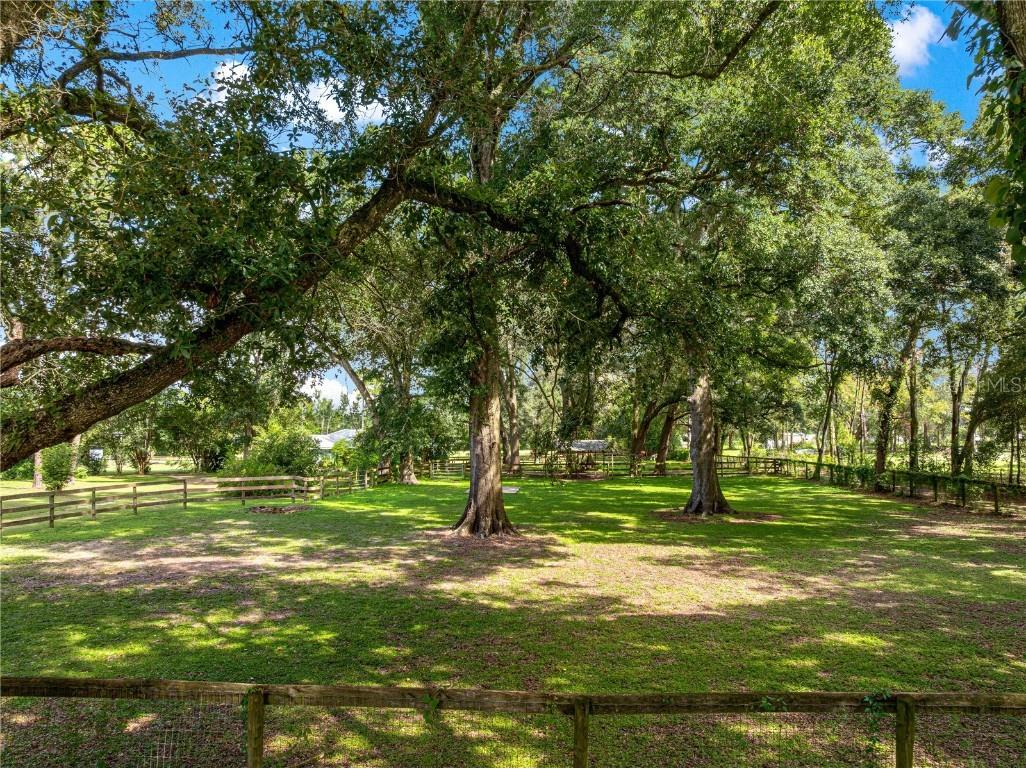 8221 SE 126th Place Belleview FL 34420 OM709297 image15