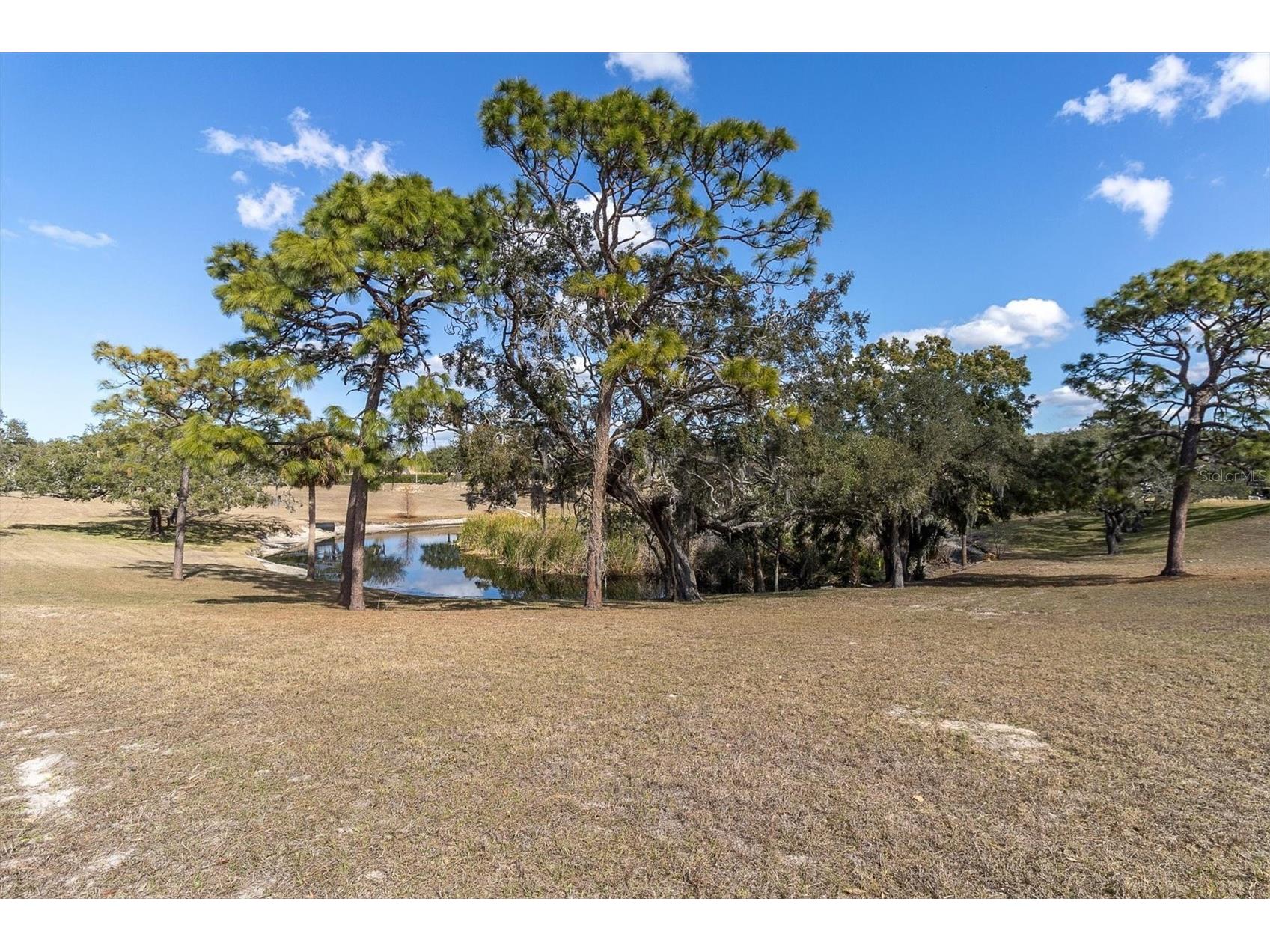 8221 Sulky Court #1 Port Richey FL 34668 W7882110 image26
