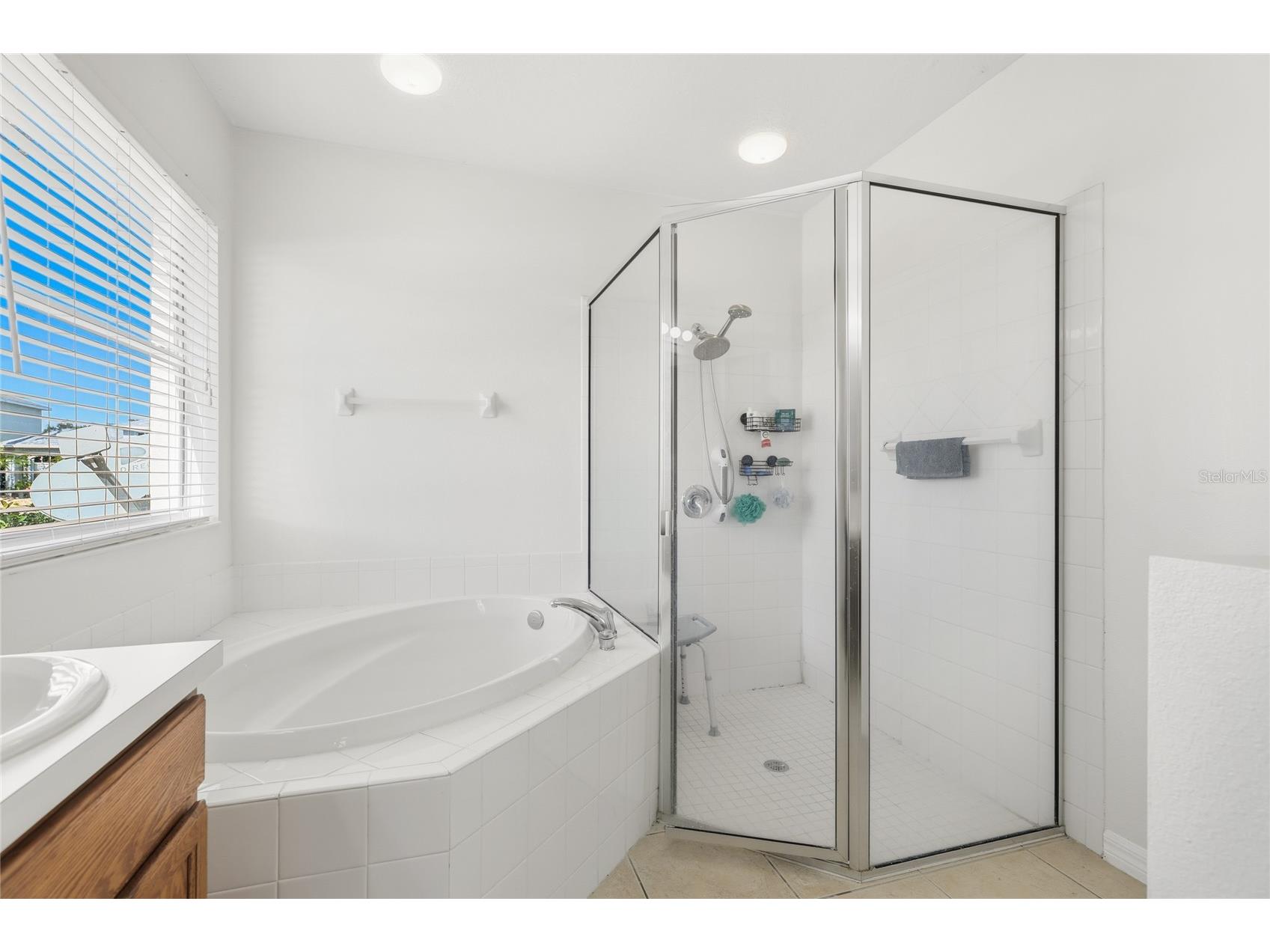 8222 Haven Harbour Way Bradenton FL 34212 A4679394 image20