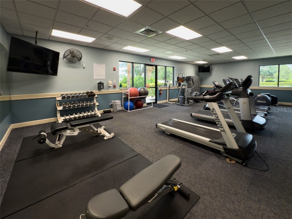 8222 Haven Harbour Way Bradenton FL 34212 TB8420241 image38