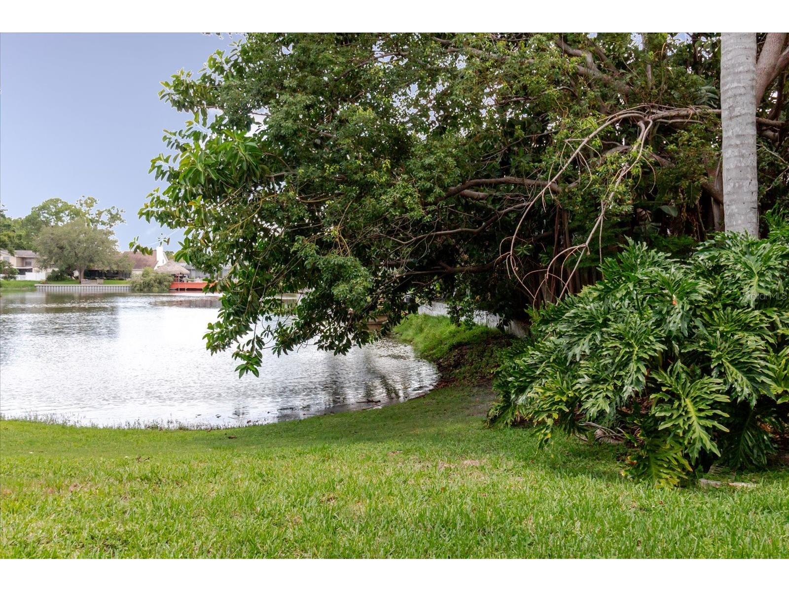 8222 La Serena Drive Tampa FL 33614 TB8484918 image82
