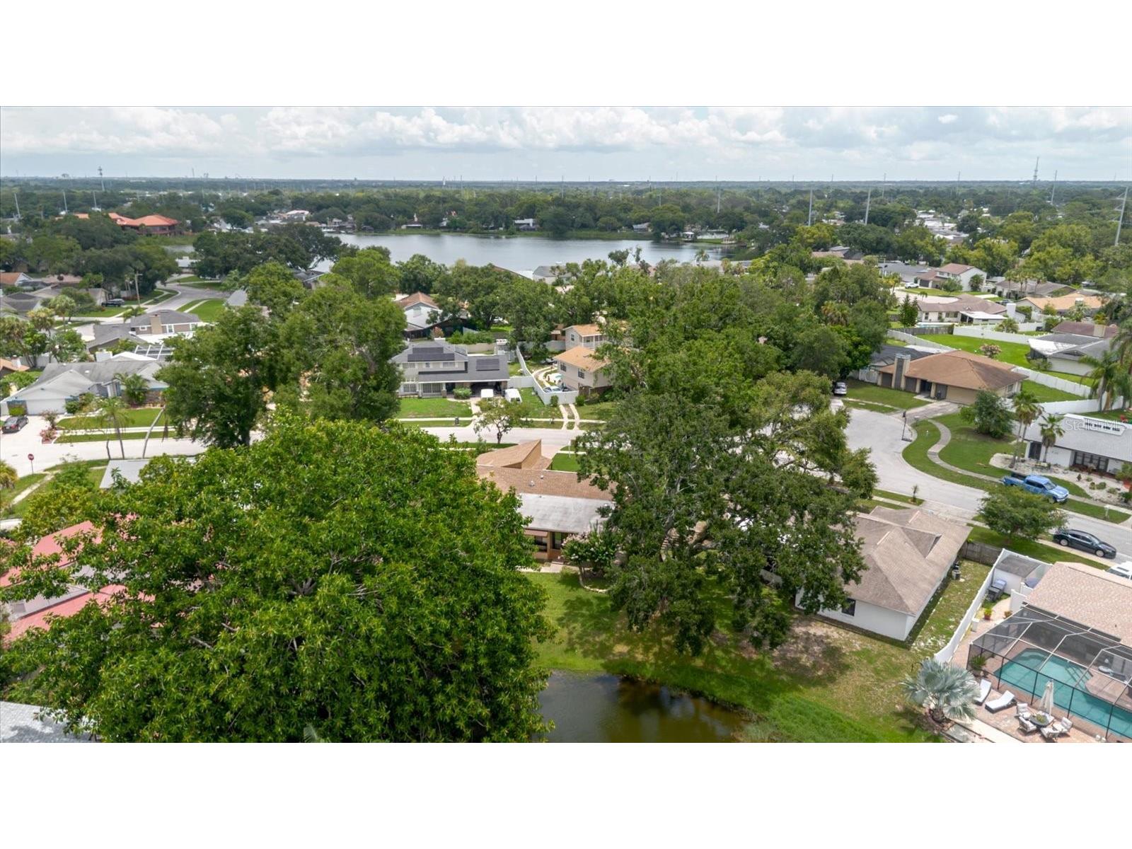 8222 La Serena Drive Tampa FL 33614 TB8484918 image86