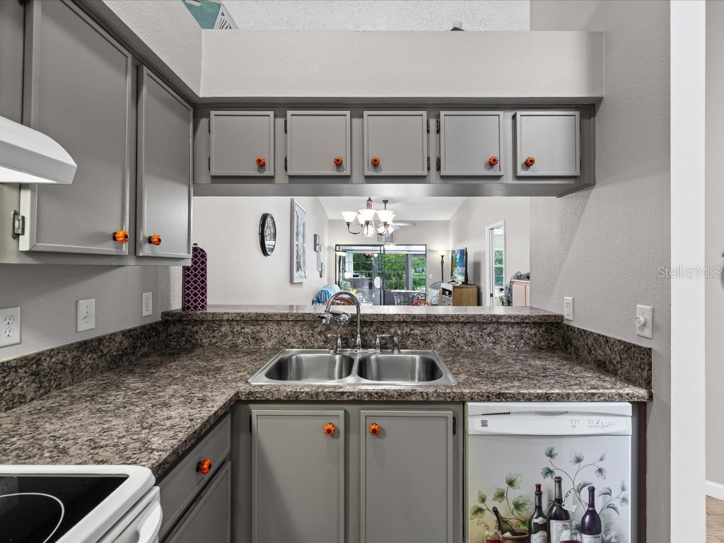 8222 Leafy Court Port Richey FL 34668 W7879258 image12