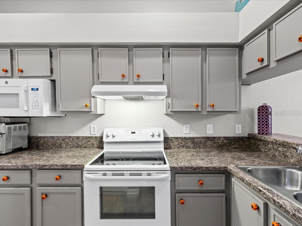 8222 Leafy Court Port Richey FL 34668 W7879258 image13