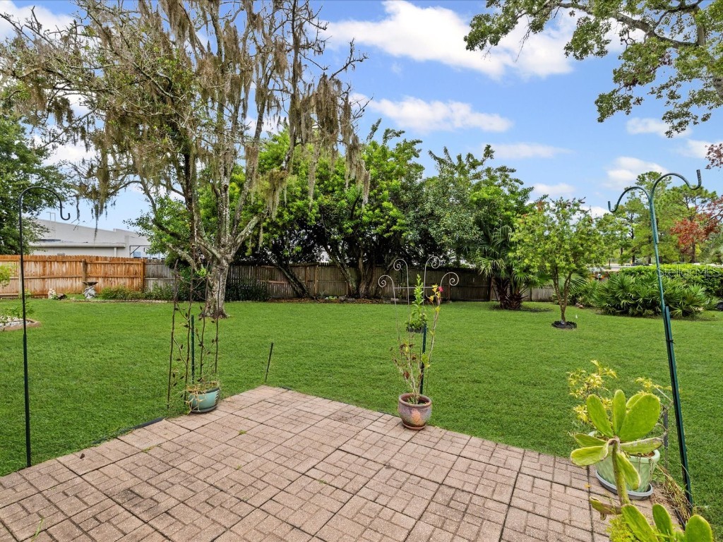 8222 Leafy Court Port Richey FL 34668 W7879258 image22