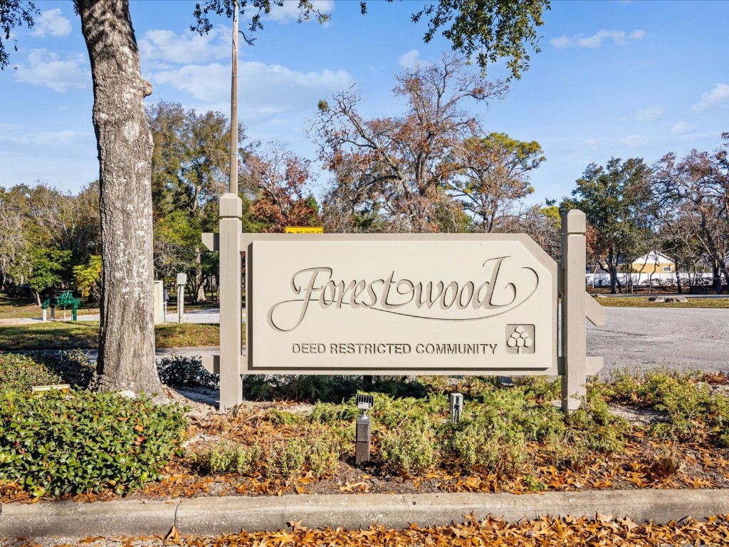 8222 Leafy Court Port Richey FL 34668 W7879258 image41