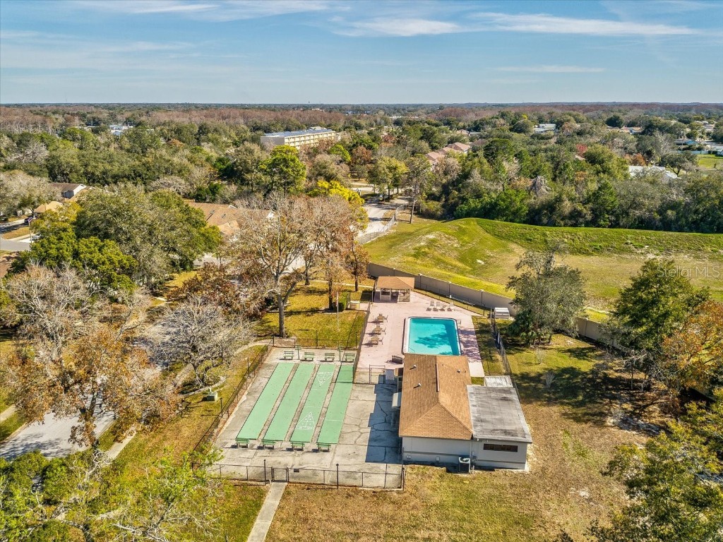 8222 Leafy Court Port Richey FL 34668 W7879258 image46