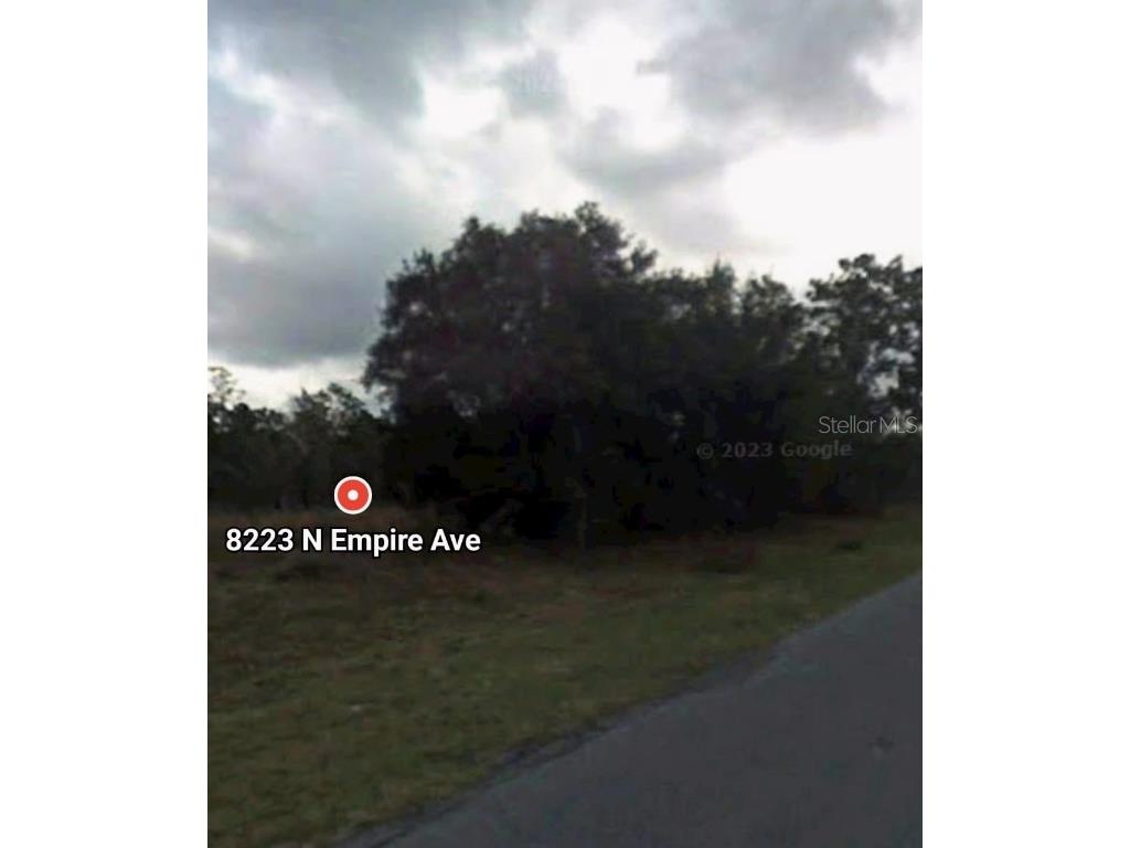 8223 N Empire Avenue Citrus Springs FL 34433 O6336183 image7