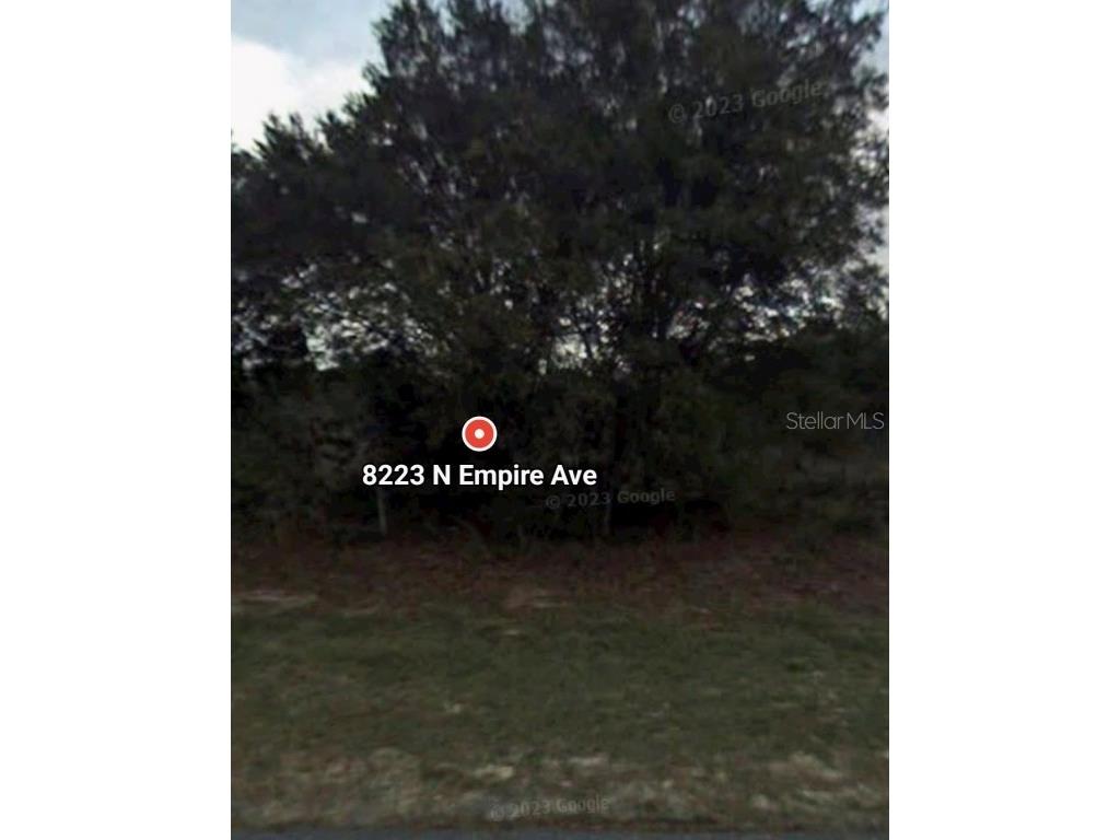 8223 N Empire Avenue Citrus Springs FL 34433 O6336183 image8