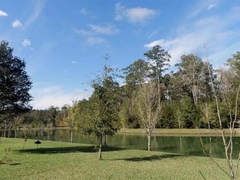 8223 NW 53rd Street Gainesville FL 32653 O6405904 image40