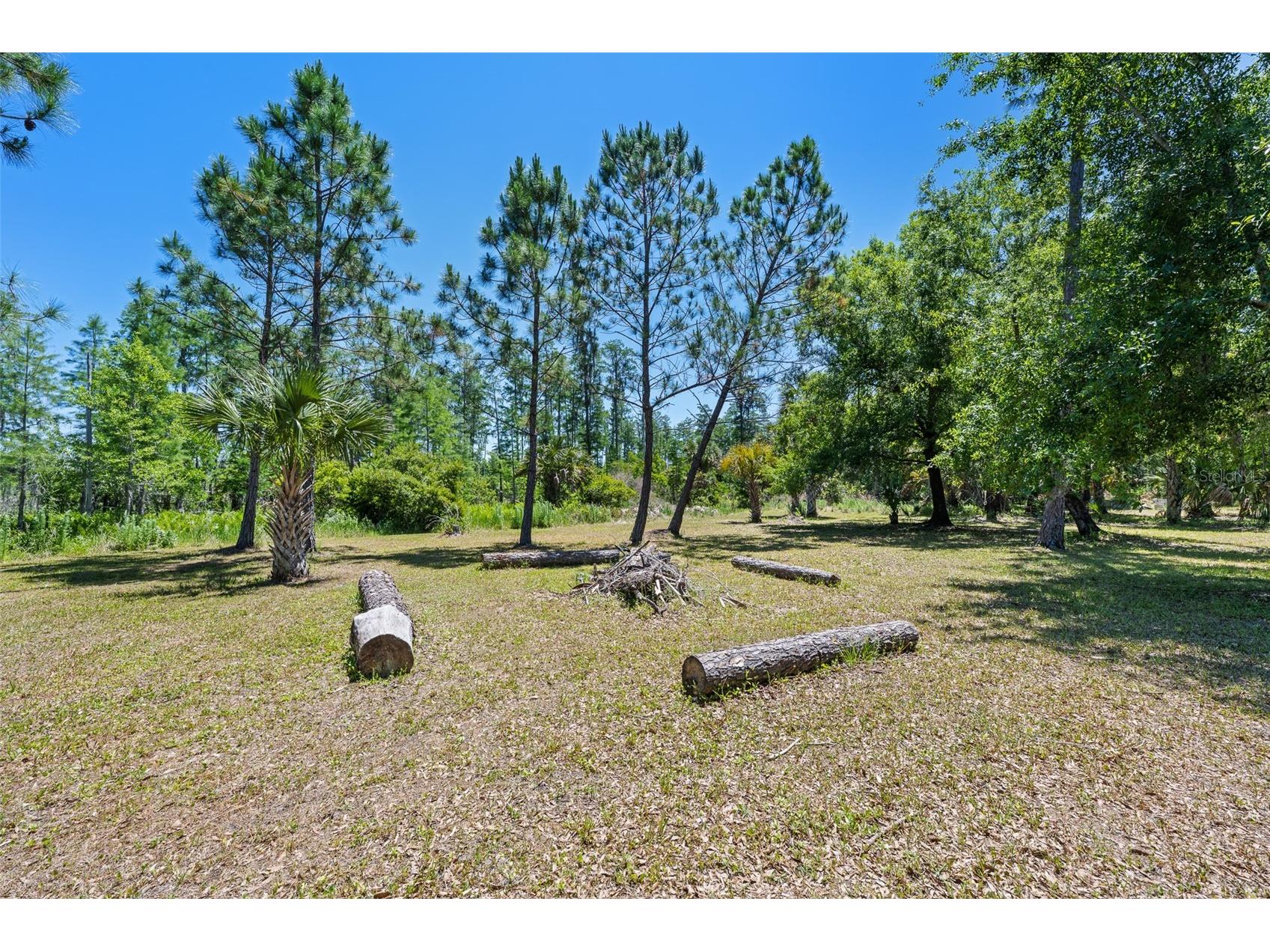 8224 Spring Forest Lane Wesley Chapel FL 33544 TB8508179 image32