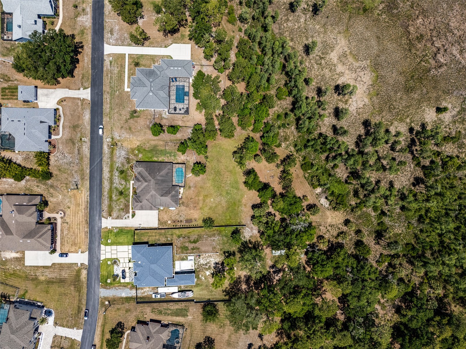 8224 Spring Forest Lane Wesley Chapel FL 33544 TB8508179 image34