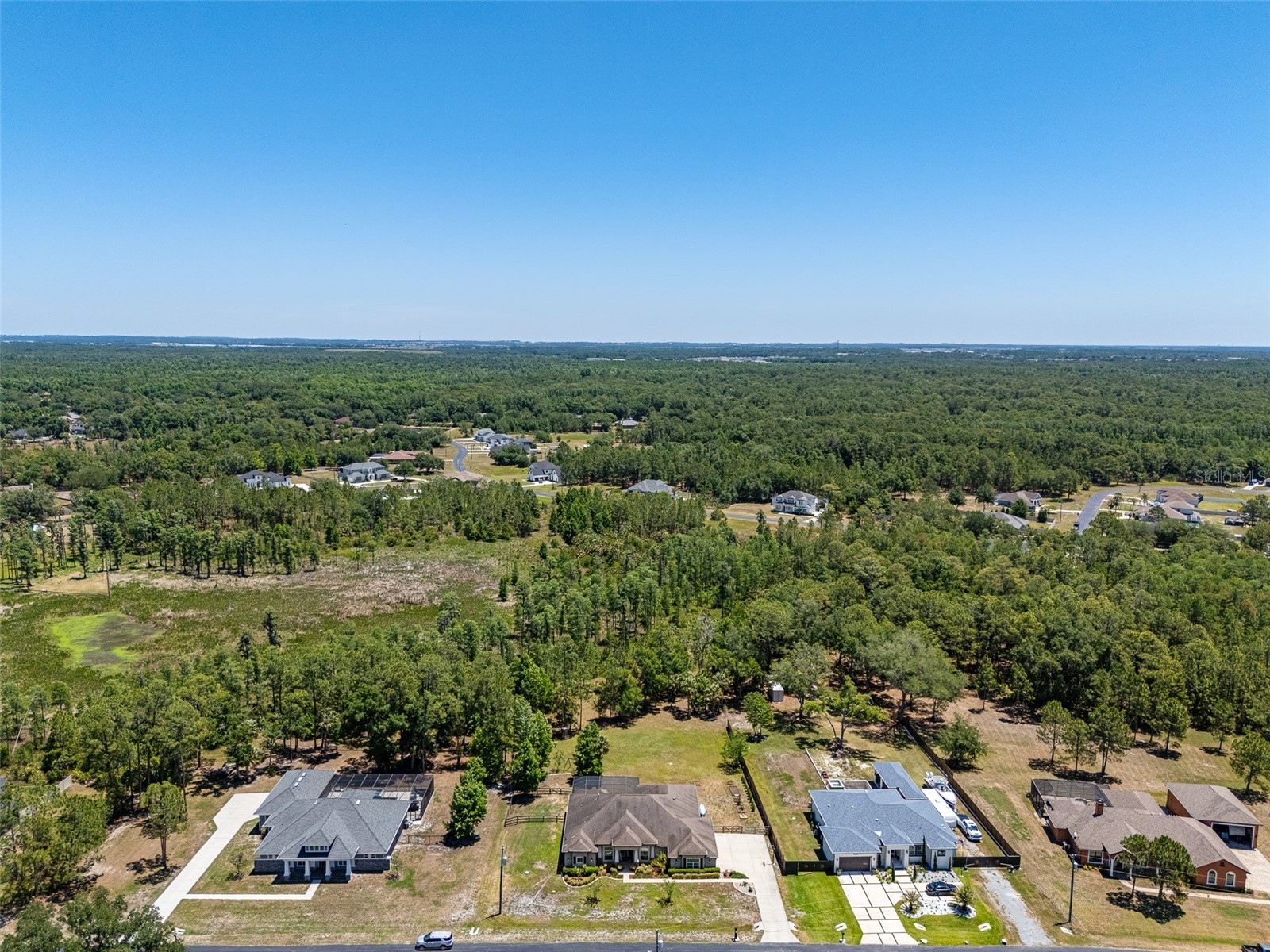 8224 Spring Forest Lane Wesley Chapel FL 33544 TB8508179 image35