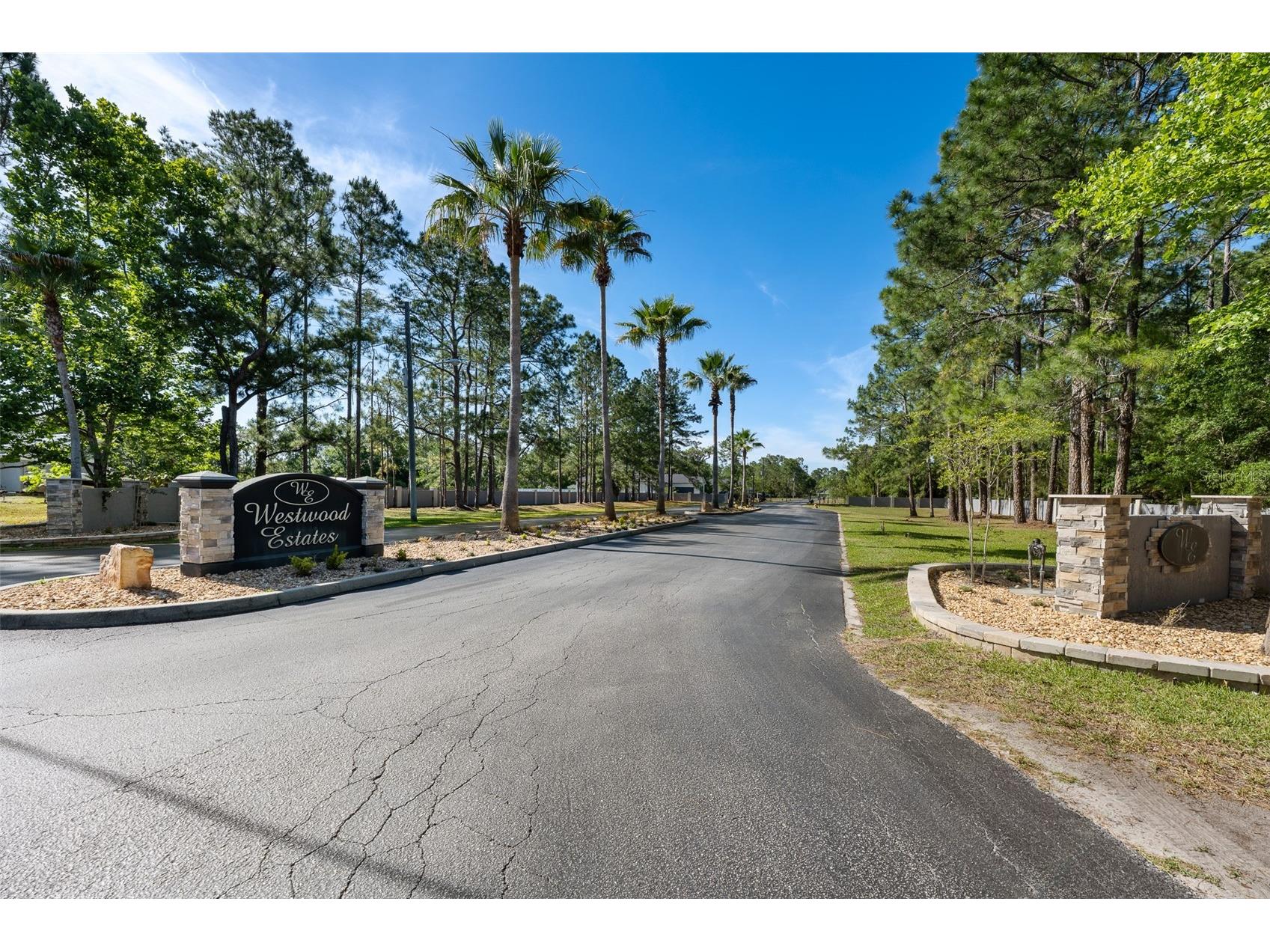 8224 Spring Forest Lane Wesley Chapel FL 33544 TB8508179 image36