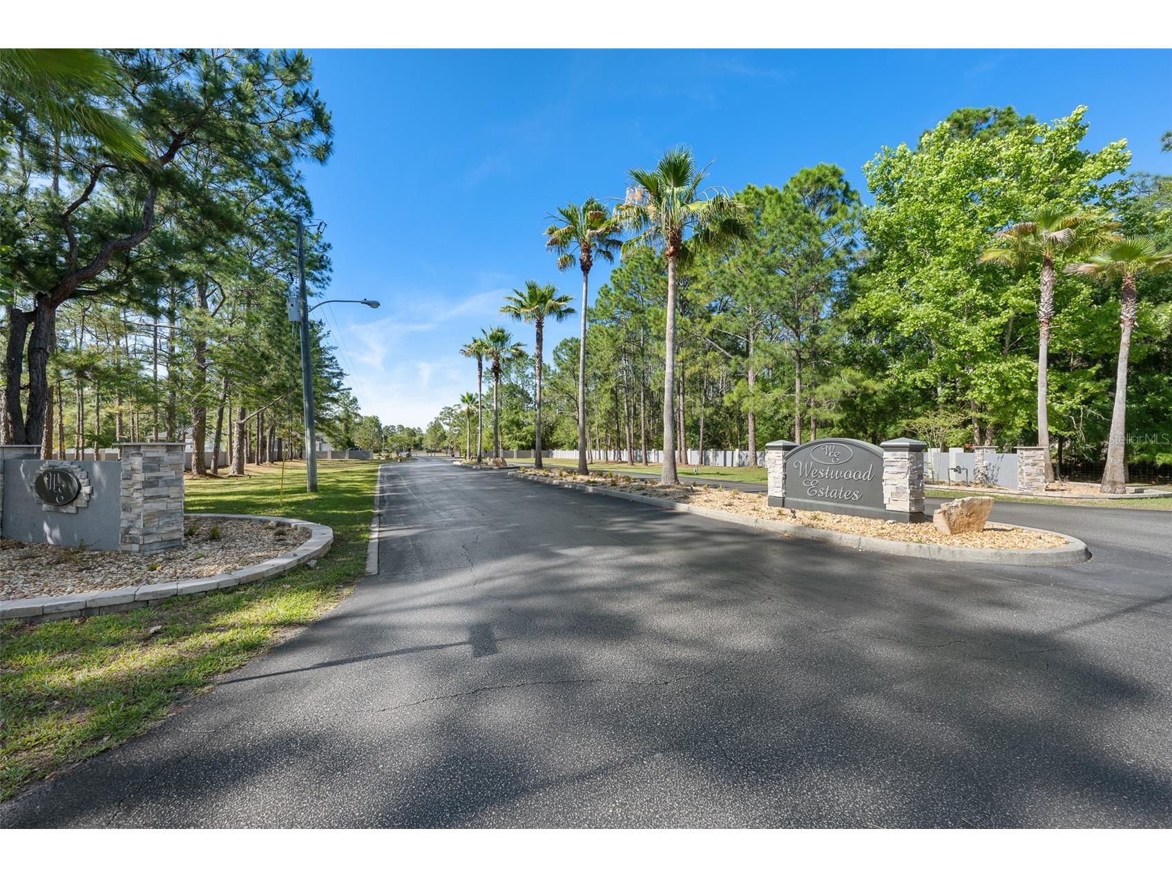 8224 Spring Forest Lane Wesley Chapel FL 33544 TB8508179 image37