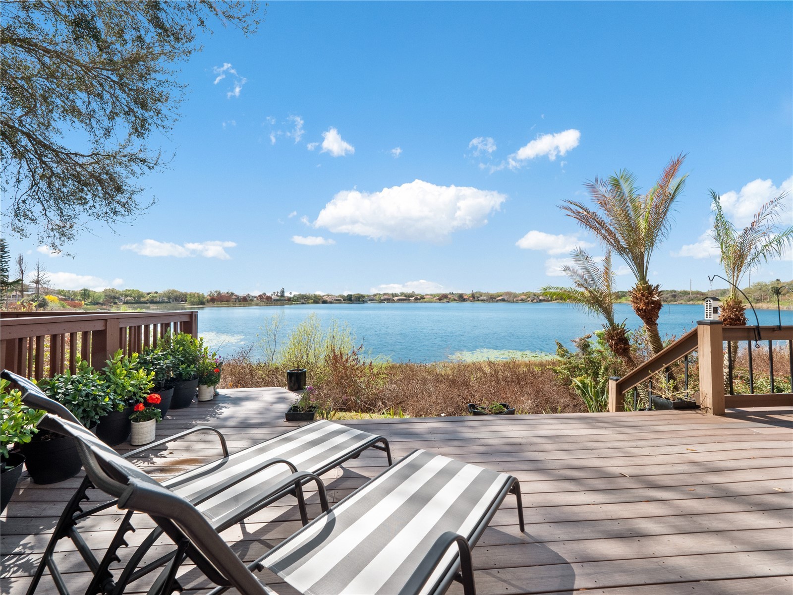 8224 Tivoli Drive Orlando FL 32836 O6425064 image23