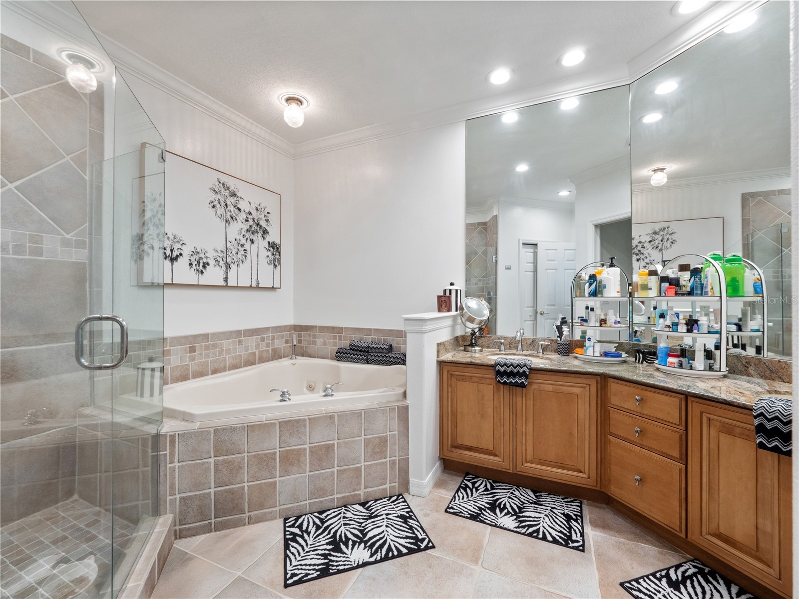 8224 Tivoli Drive Orlando FL 32836 O6425064 image32