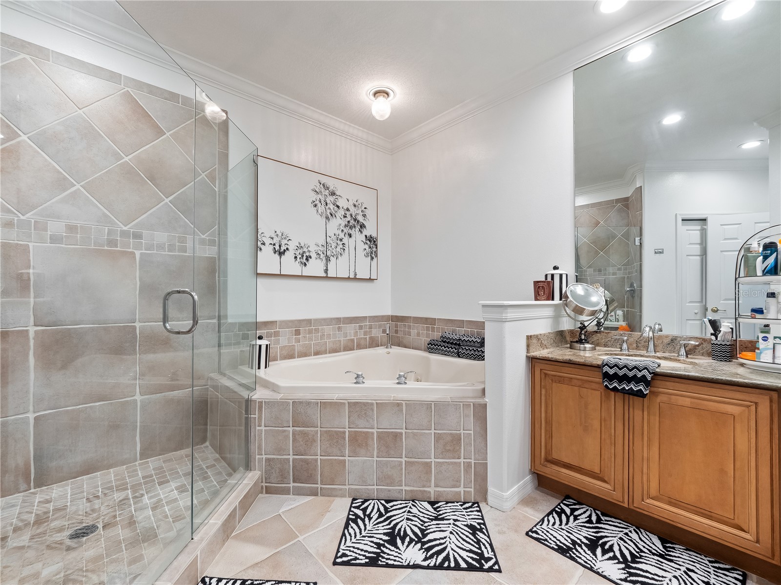 8224 Tivoli Drive Orlando FL 32836 O6425064 image33