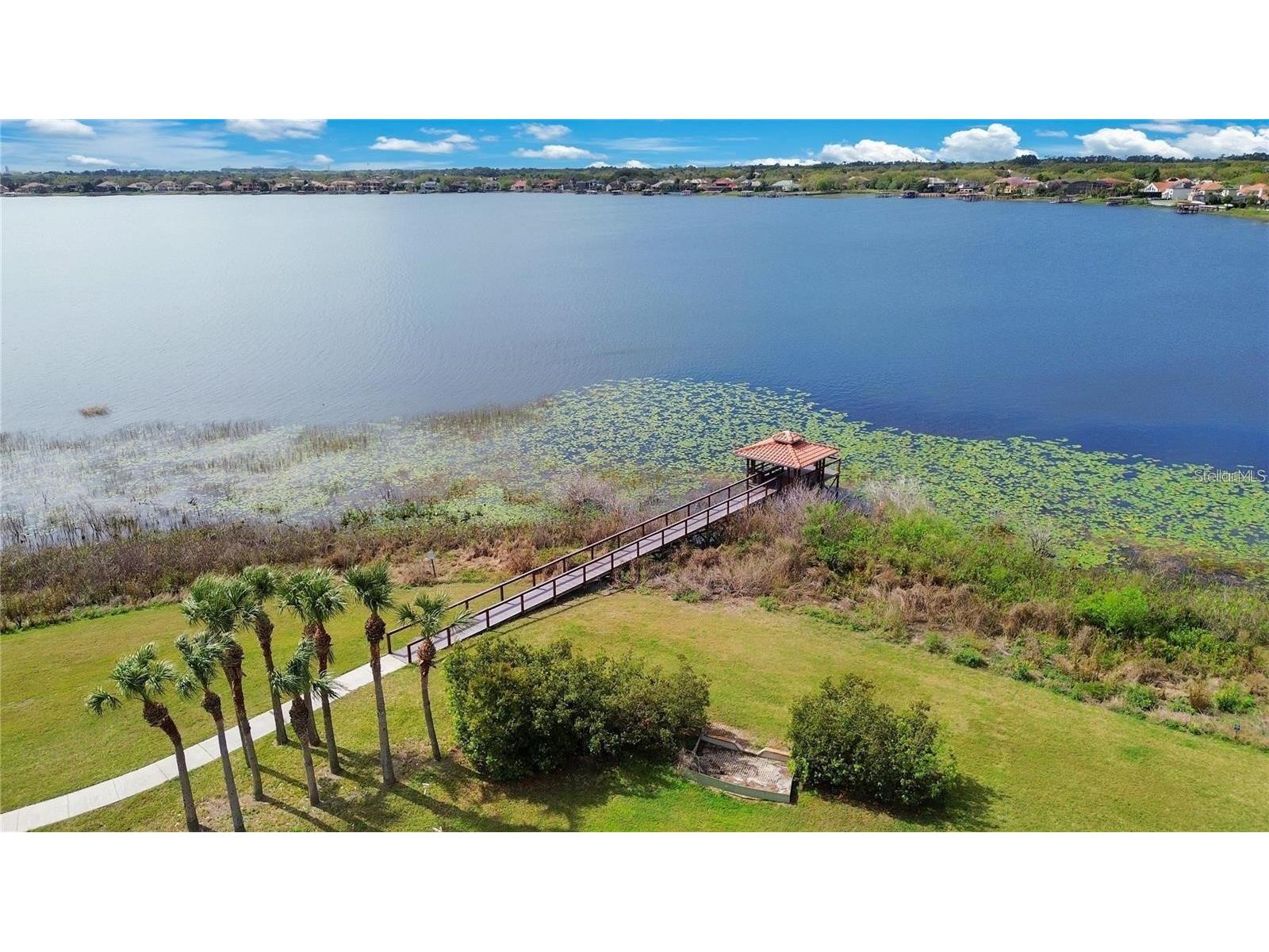 8224 Tivoli Drive Orlando FL 32836 O6425064 image45