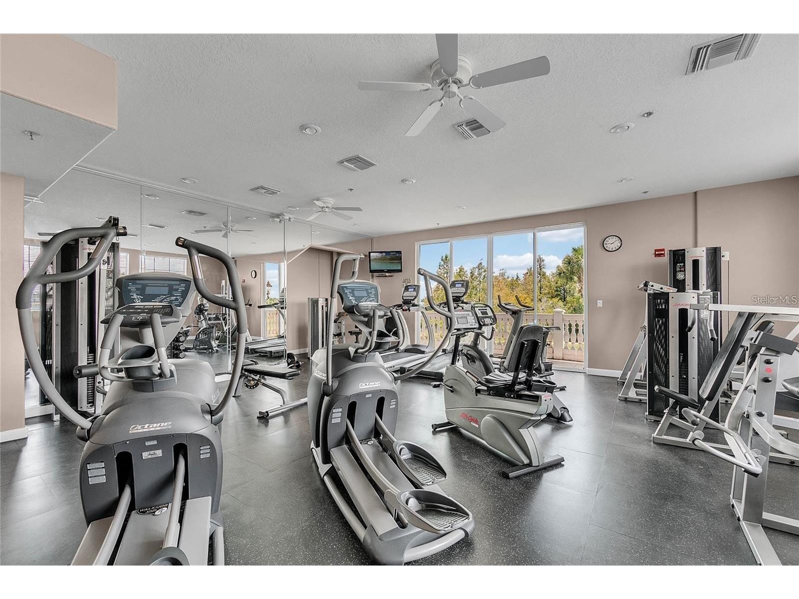 8224 Tivoli Drive Orlando FL 32836 O6425064 image48