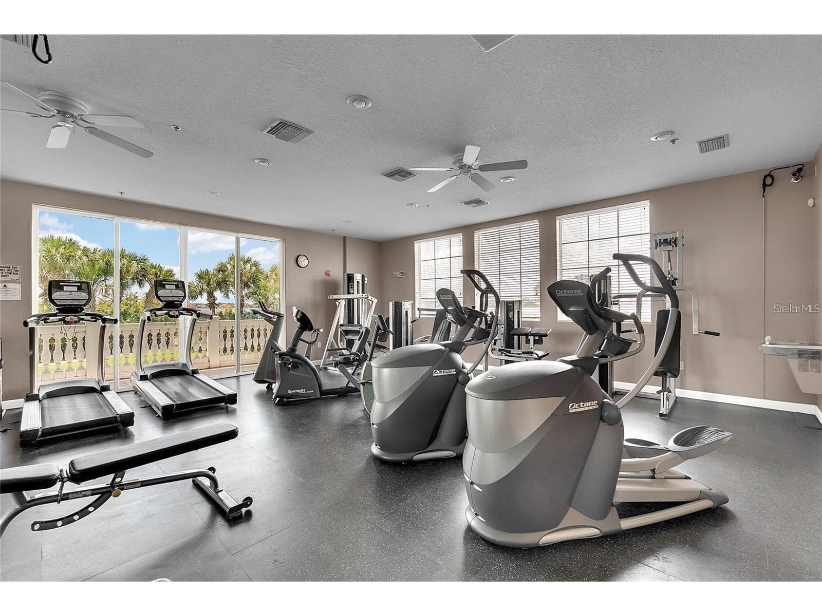 8224 Tivoli Drive Orlando FL 32836 O6425064 image49