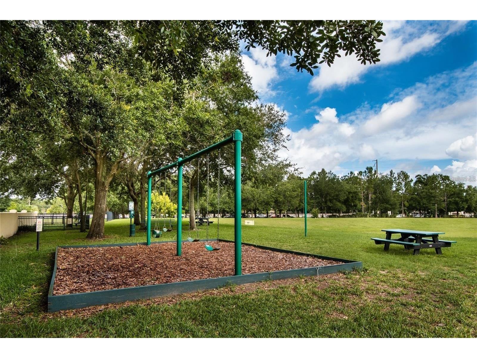 8224 Tivoli Drive Orlando FL 32836 O6425064 image51